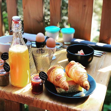 Bien Loin D'Ici Spa B&B Nîmes Eksteriør billede